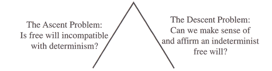 Arguments against determinism Arguments against determinism image