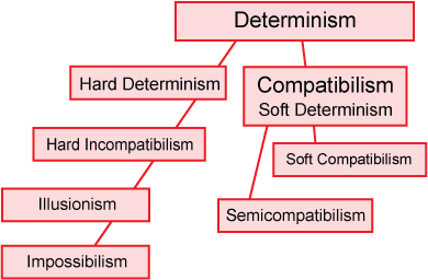 hard determinism definition