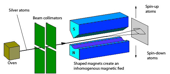 This experiment showed that spin is weird and intrinsic, even for a point particle!